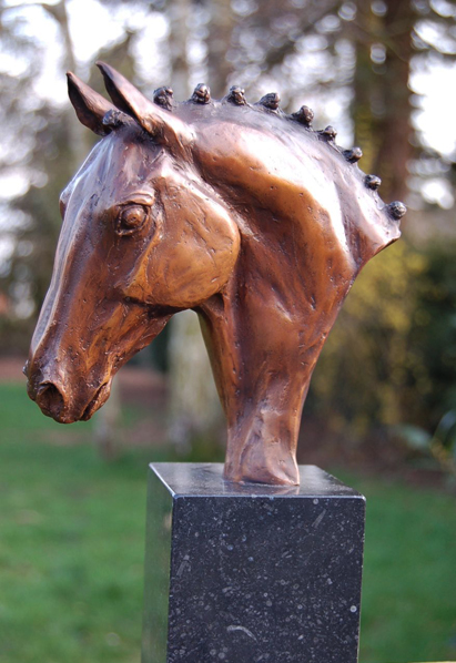 Dressage Head Study by Marie Ackers, French contemporary