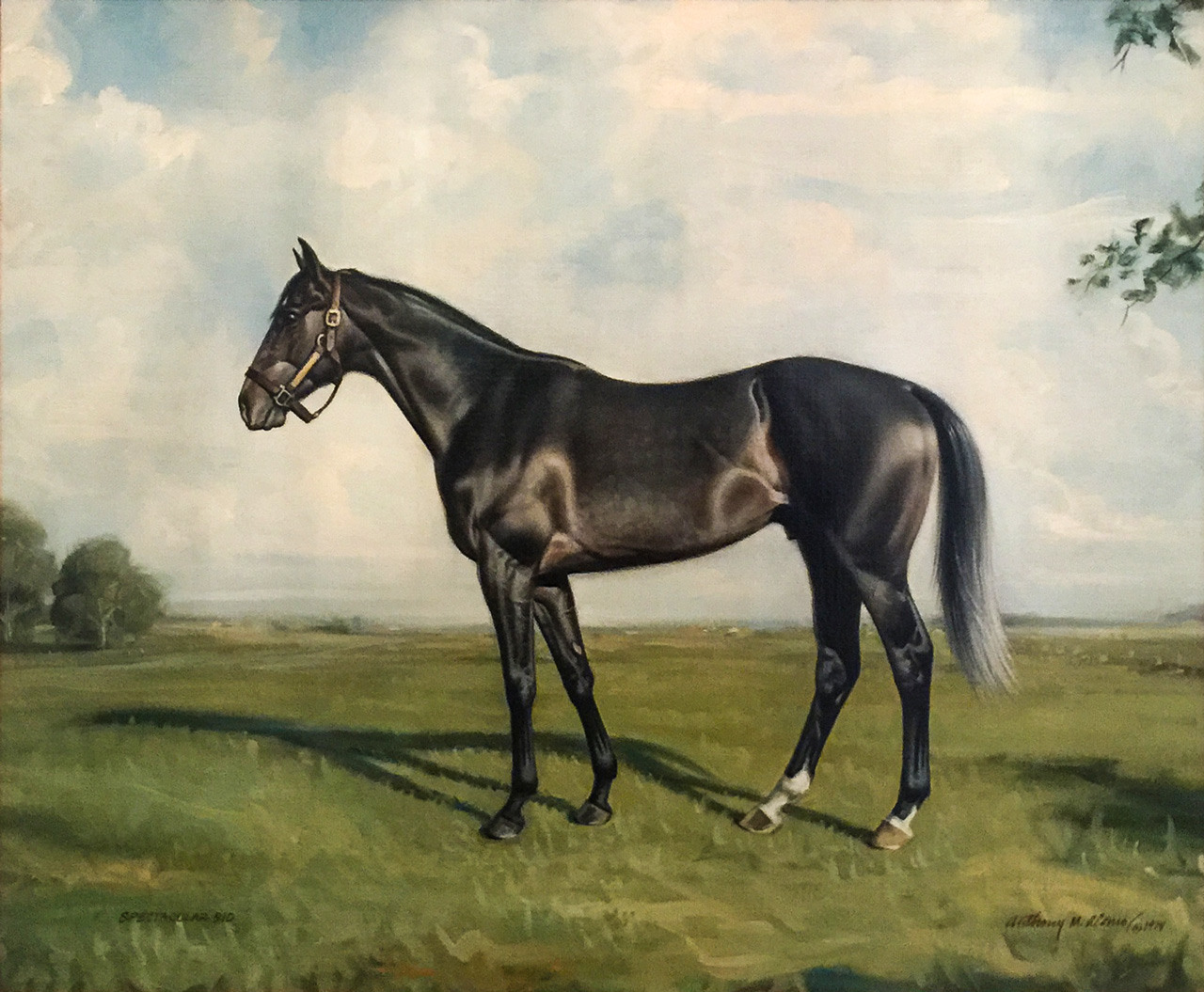 “Spectacular Bid” 1979, Oil on canvas, 20 x 24 inches, Inscribed, Signed & Dated