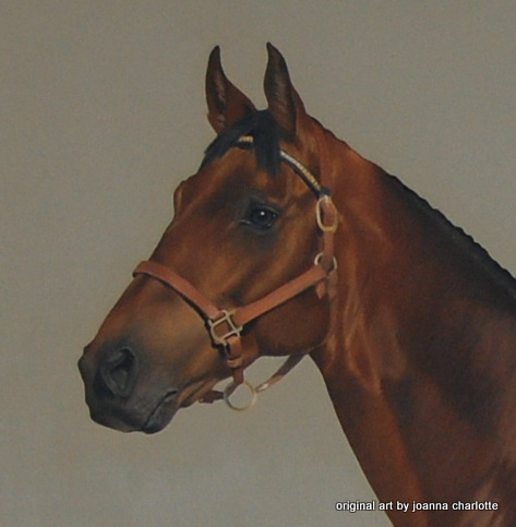 Thoroughbred (detail from a larger painting), oil on canvas, 100 x 100cm