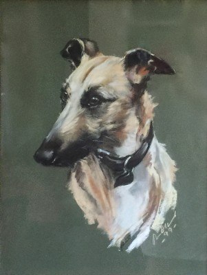 “Lurcher Portrait” 1999, Pastel on paper, 26 x 18 inches, 32 x 24 inches, Signed & Dated lower right