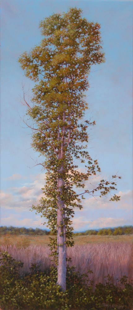 "The Sentry" 2011, Oil on linen, 30 x 13 inches, Signed and dated lower right: Carolyn H Edlund 2011