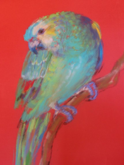 "Green Parrot" pastel on paper, 26 x 22 inches