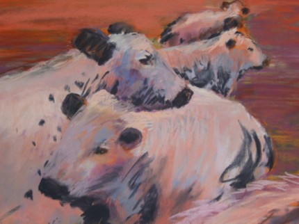 "Laid Back Cows" pastel on paper 18 x 21 inches