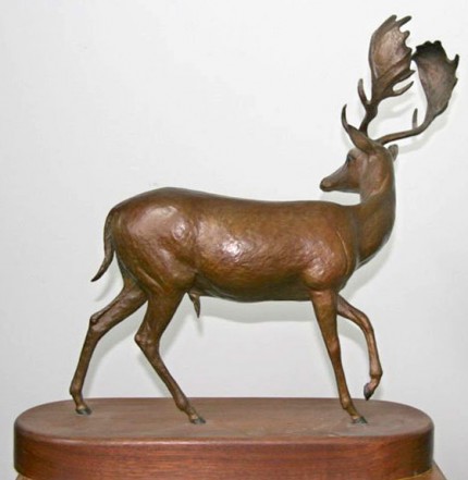 “Fallow Buck” Bronze