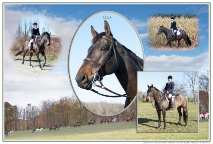 “Ella and Story Time” A set of portraits for Mr. & Mrs. William F. Henze II's home in Aiken. Inspired by English hunt prints. The second set of portraits that I've produced for these wonderful clients. Their now retired horses, Pierre and Henry, have portraits are hanging in their home in Millbrook. In all of the pictures I combined landscape hunt images taken on their property during a meet, formal portraits or each horse and action photos hunting. 
