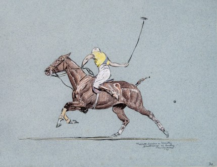 “Tabbott Backs a Beauty”