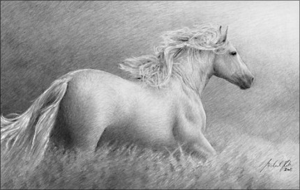 Pferd