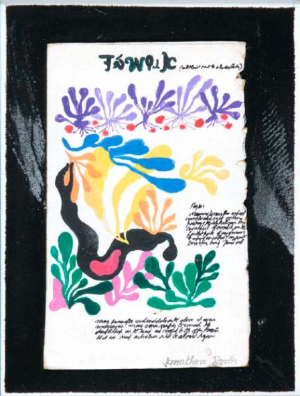 Matisse Cryptic