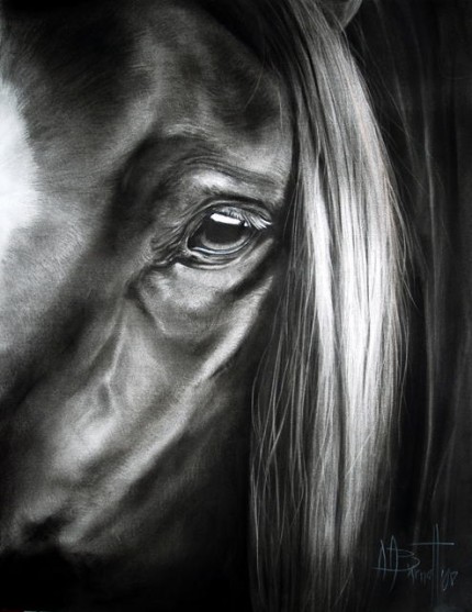 "Isis" charcoal on paper, 18 x 24 inches, 2008, SOLD