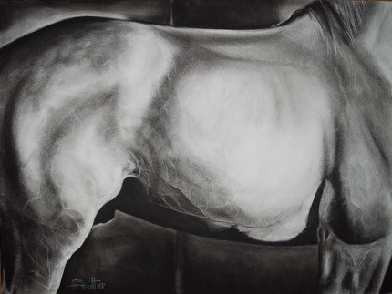 "Equus" charcoal on paper, 24 x 18 inches, 2008, SOLD