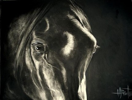 "Courante" charcoal on paper, 24 x 18 inches, 2008