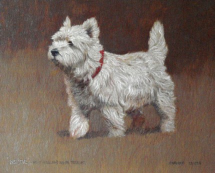 “Westie - West Highland White Terrier” Oil on paper, 9.5 x 11 inches, Signed