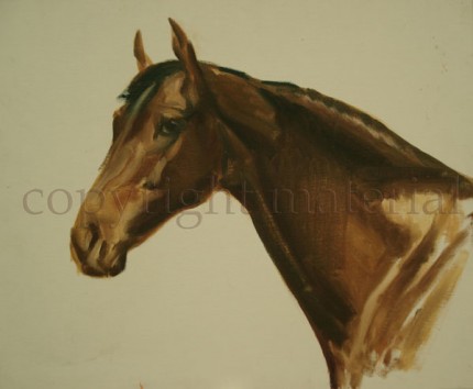 "Portrait of a Bay Thoroughbred" Oil on canvas/board, 19.5 x 24 inches, Not signed