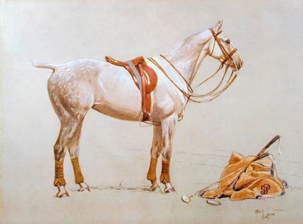 “Activity” Photolithograph