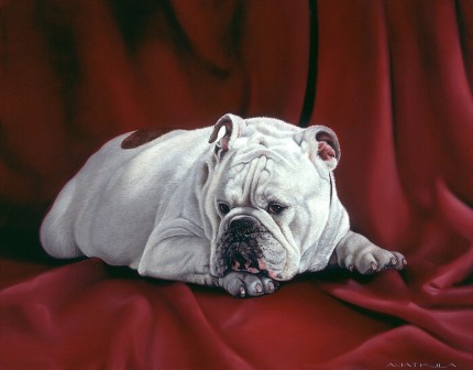 “Maximillian” Oil on canvas, 24 x 28 inches, Signed