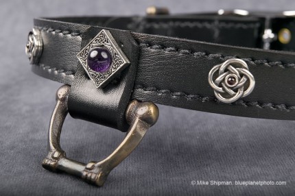 Celtic Rose
