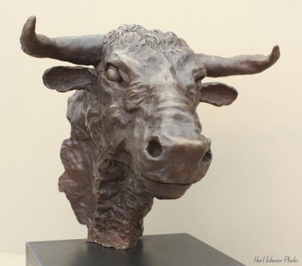 "Bull Head" (Large) Bronze, Edition of 9, 55 x 42 x 48 cm