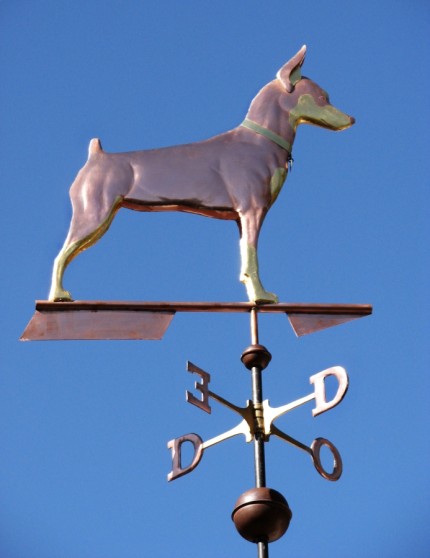 “Dominican Pinscher” Copper, Handmade glass eyes, Brass directionals, Chrome pivot balls, Optional gold leafing | Small, Medium, Large, X-Large