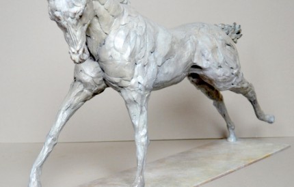 “Colt” Limited Edition: 9, Bronze, 60 x 36 x 16 cm, Signed