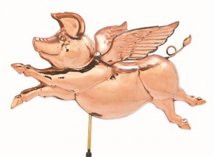 "Flying Pig"