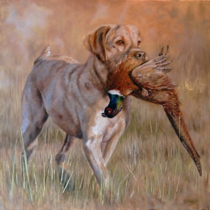 “The Retrieve I - Pheasant” 2009, Oil on canvas, 20 x 20 inches, Signed