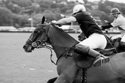 "Polo - Polistas Serie" Signed and Limited, Lustre print mounted on Dibond, 15 x 22.5 inches