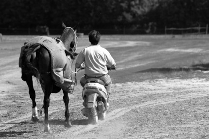 "Polo - Petiseros Serie" Signed and Limited, Lustre print mounted on Dibond 15 x 22.5 inches