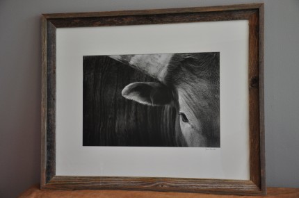 "Long Horn" gelatin silver print, 31 x 25 inches matted and framed, signed