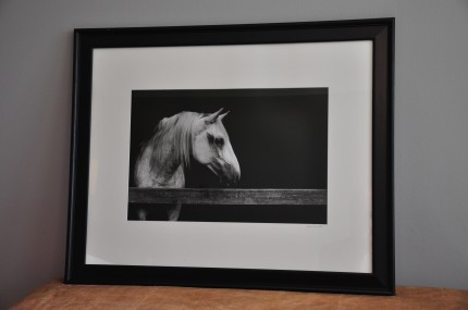 "Left Gaze" gelatin silver print, 31 x 25 inches matted and framed, signed