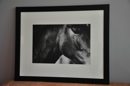 "D'Amore" gelatin silver print, 31 x 25 inches matted and framed, signed