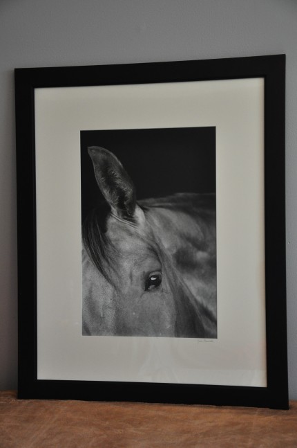 "Forte" gelatin silver print, 31 x 25 inches matted and framed, signed