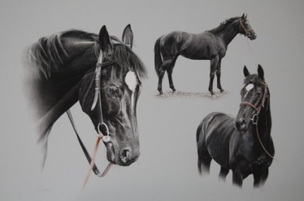 Admiral Rodney, Pastel on mountboard