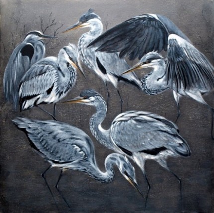 Herons