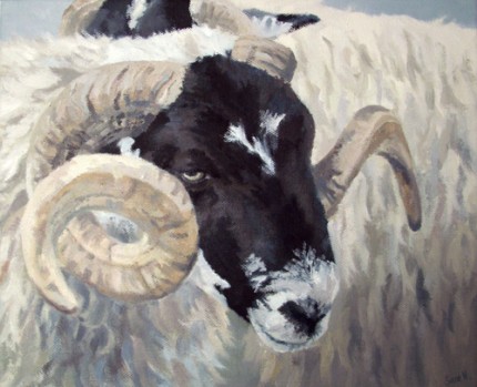 Curly, Oil on Canvas, 12 x 10"