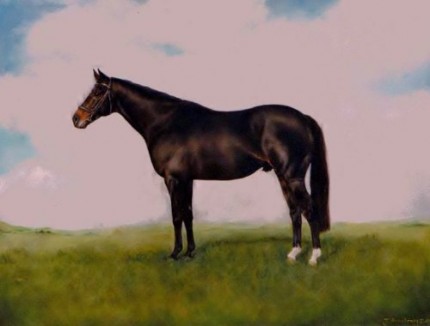 Shaamit, Oil on Canvas, 24 x 30 inches