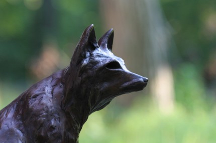 "The Fox" (Detail) Bronze, 2 A/P, Edition of 15, 16 x 11 x 7 inches