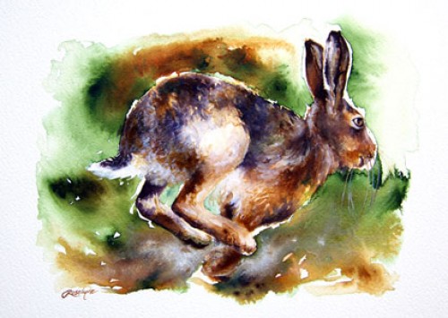 "Autumn Hare I" Ink on paper, approx. A4 "If you run after two hares, you will catch neither."