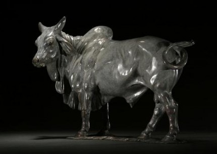 "Brahman Bull" Bronze, Edition of 9, Grey patination, 16 x 22 inches