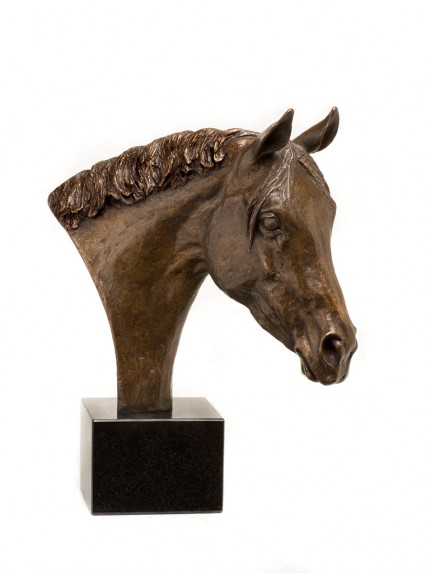 Anglo Arab cross Warmblood, Bronze, Edition of 9,  40 x 37 x 23 cm