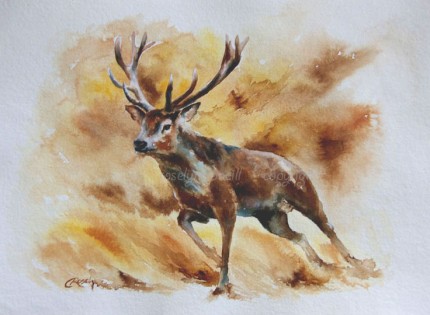 "Autumn Stag II" Ink on handmade 100% recycled rag paper, Deckled edge