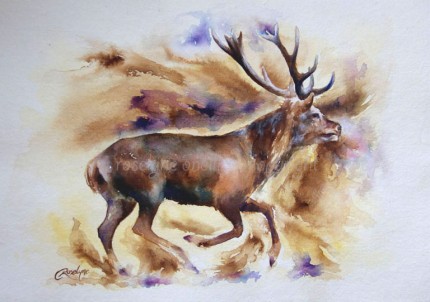 "Autumn Stag I" Ink on handmade rag paper, deckled edge, approx. A3