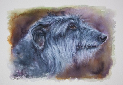 "The Scottish Deerhound" Ink on paper, approx. A4, "The beautiful Scottish Deerhound, traditionally used for hunting red deer by coursing. A sighthound of gentle dignity. Roselyne's 'deerhound studies' are inspired by her own hound, Darcy."