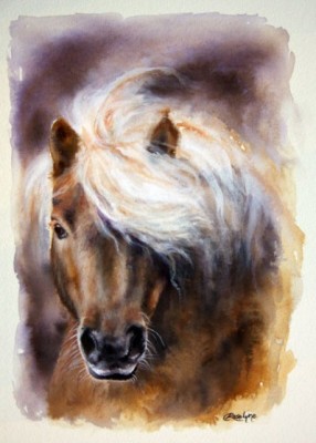 "In Miniature" (Shetland Pony) Ink on paper, approx. A3, "Shetland Ponies originate from the Shetland Isles of Scotland making them a very hardy and strong pony despite their look of a miniature horse."
