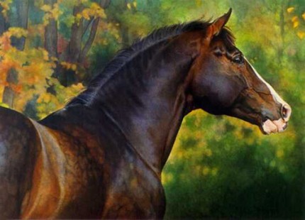 “D’Atagnan” Watercolour, 20 x 27.5 inches