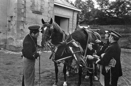 France Carriage Horses, Grooms at the Pompadour, One of 24 National Stud Farms of France, photographed extensively in black and white and color. Vintage silver print 8x10" and any size digital print on request. 
