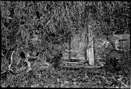 France castle vines, A secret door at the Castle of Pompadour, In the Limousin, France, one of an extensive collection of images in black and white and color of the French national stud farm and environs. 