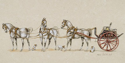 “Carriage Horse III” Ink on paper