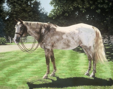 "Charles Still Hunting at 27" Oil on linen, 24 x 30 inches, Signed, Private Collection