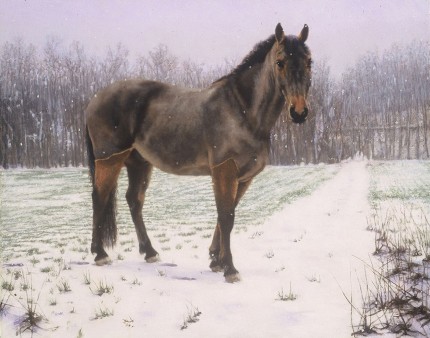 "Colby" Oil on linen, 24 x 30 inches, Signed, Private Collection