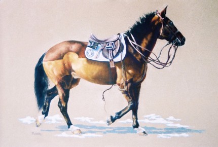 "Murray" Pastel on paper, 14 x 19 inches, Signed, Private Collection